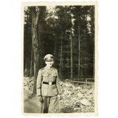 Wehrmachtin sotilas, jolla on harvinainen muistomansetti Espanja 1936-1939.